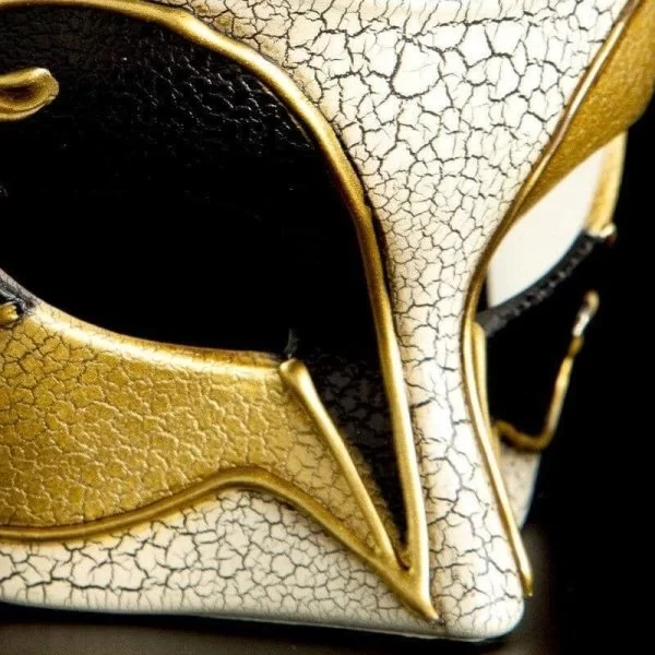 masque loup de venise homme